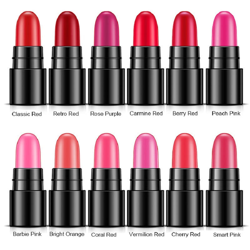 (0BQY8853) 12 Colors Charm Lipstick Sample Mini Kit